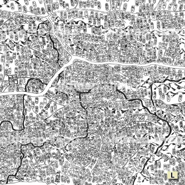 越後国全図 慶応年間(1866-1868) - 画像 (2)
